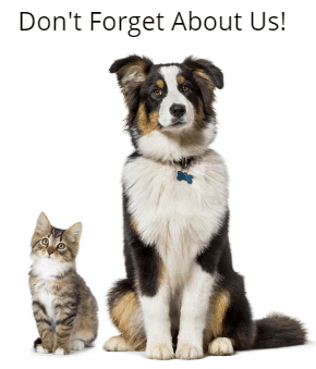 Dont forget about us